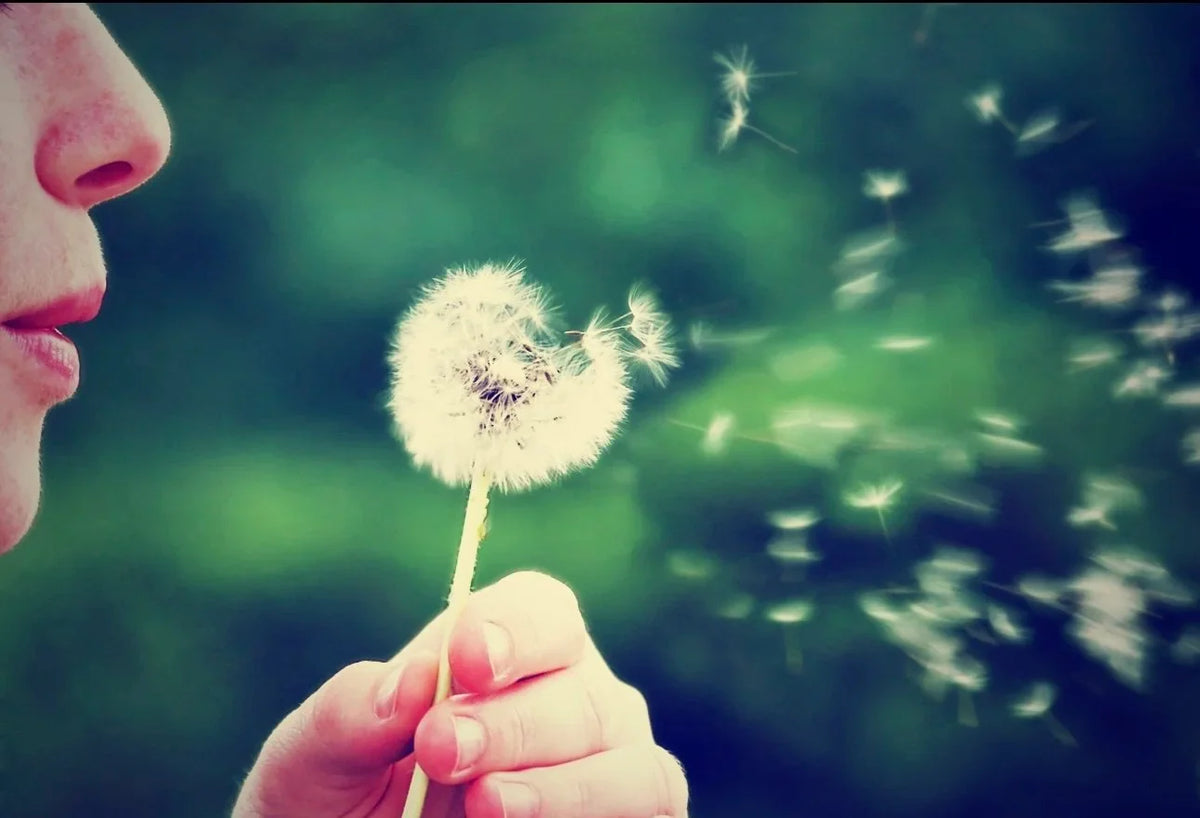 Do You Have Allergies? Or Could It Be Something Else?