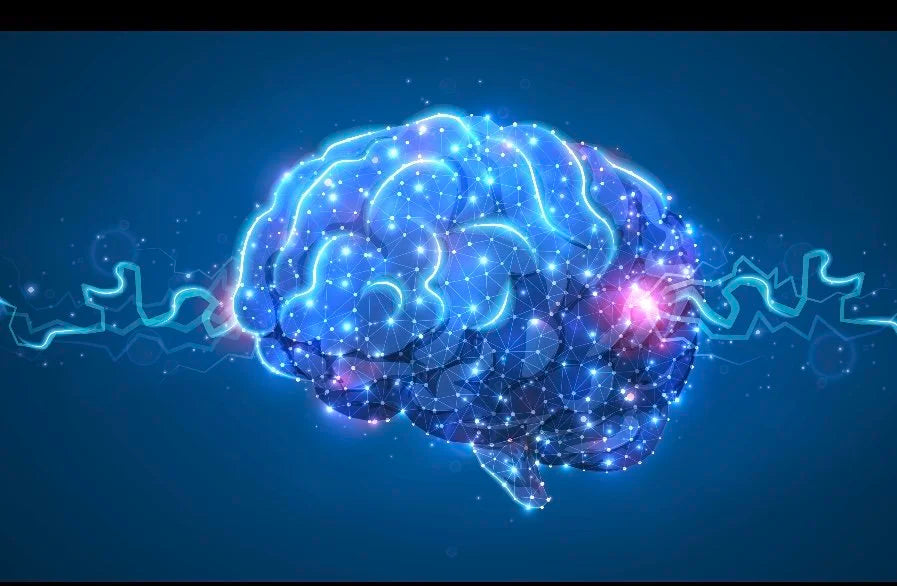 Looking After Your Brain